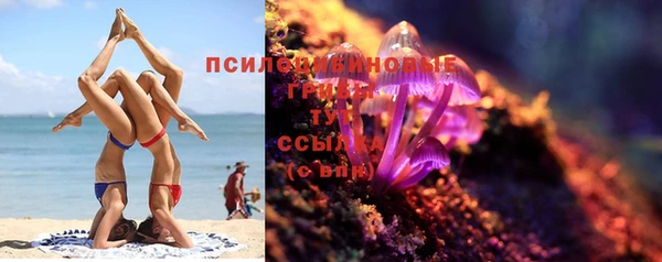 крисы Балабаново