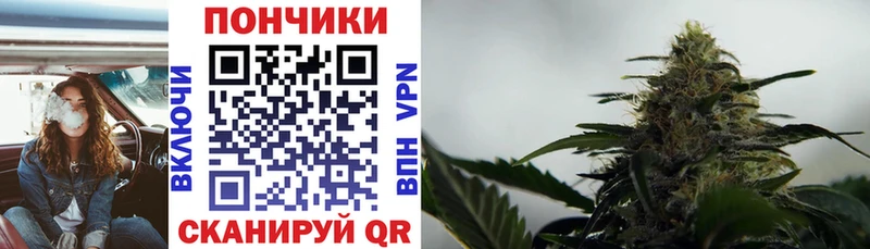 Марихуана конопля Нестеров
